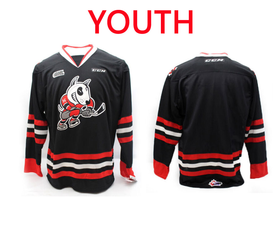 Youth Custom Niagara Icedogs OHL Premier Edge Away Replica NHL Jersey Black CCM->customized nhl jersey->Custom Jersey